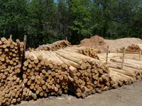 AFOR - Azienda Forestale Valli di Lugano SA