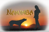 Namimba-Logo