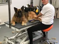 Agota's Hundesalon
