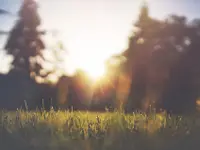 Augsburger Gartenbau GmbH - Klicken Sie, um das Bild 7 in einer Lightbox vergrössert darzustellen