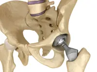 Physiotherapie Heiniger und Psychologische Körperarbeit - Klicken Sie, um das Bild 11 in einer Lightbox vergrössert darzustellen