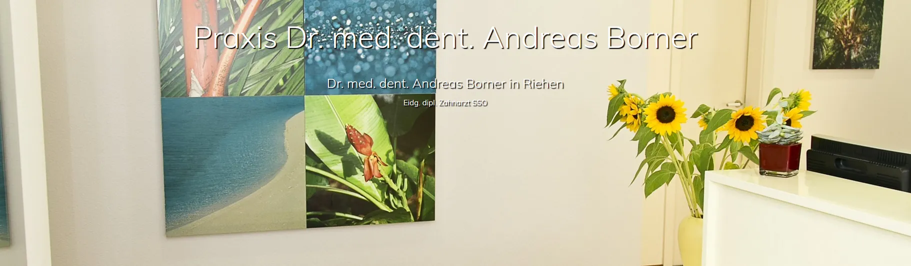 Dr. med. dent. Borner Andreas