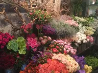 Fleuriste des Augustins - Philosophes