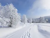 Albertsen Voyages SA - Klicken Sie, um das Bild 8 in einer Lightbox vergrössert darzustellen