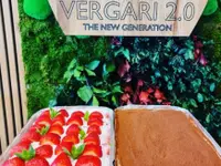 Vergari 2.0