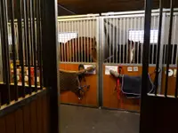 MANEGE DE GRANGES-SUR- MARLY Sàrl