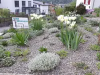 Signer Gartenpflege