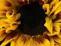 Chiara's Creative Factory GmbH
