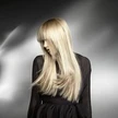 Trend Coiffeur & Kosmetik