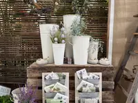 Blumen Kaspar AG