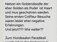 Hundesalon s'Paradiesli - Kampwirth GmbH - Klicken Sie, um das Bild 13 in einer Lightbox vergrössert darzustellen