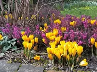 M. Berger Gartenbau AG Wohlen - Klicken Sie, um das Bild 1 in einer Lightbox vergrössert darzustellen