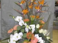 Blumen Jakob