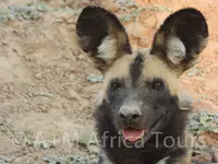 A + M Africa Tours GmbH