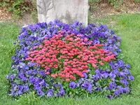 Friedhofgärtnerei Köniz - Klicken Sie, um das Bild 4 in einer Lightbox vergrössert darzustellen