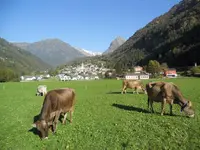 Caseificio del sole e Azienda Agricola Rigozzi