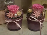 Blumen Ball GmbH