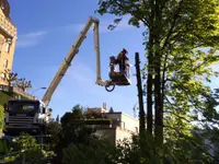 Gander Gartenbau - Klicken Sie, um das Bild 6 in einer Lightbox vergrössert darzustellen