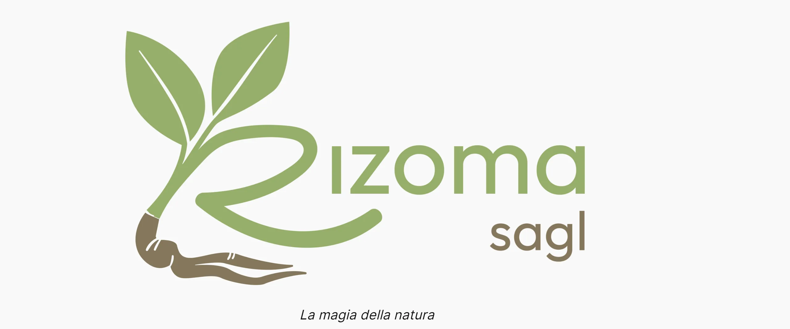 RIZOMA SAGL