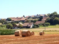 Gemeindeschreiberei Einwohnerkontrolle Kallnach - Klicken Sie, um das Bild 21 in einer Lightbox vergrössert darzustellen