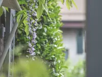 Mint Gardens