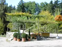 Baumschule Gehrig GmbH - Klicken Sie, um das Bild 1 in einer Lightbox vergrössert darzustellen