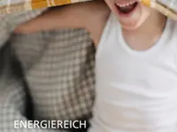 Baeriswyl AG Effiziente Gebäudehüllen