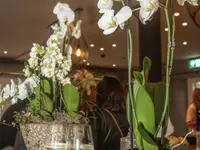 Dihei - Hotel, Lounge, Bar