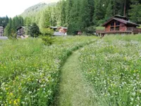 Jardin SA