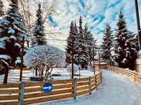 Winter World Wallisellen