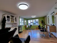 Coiffeur fine arts