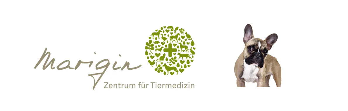 Marigin Tierklinik - Zentrum für Tiermedizin