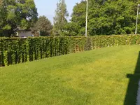 RT Paysagiste