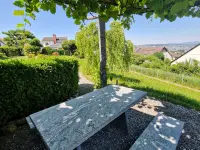 hollenstein blumengarten ag-Blumenshop-Gärtnerei-Gartenbau-Unterhalt-Grabpflege