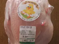 le Promeneur