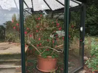 Vitrerie Stores de Versoix SA