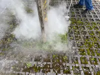 Gebäudereinigung RUPPANNER Hauswartungen KECKEX.swiss
