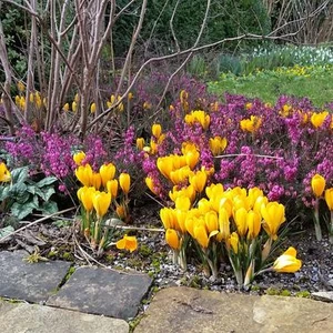 M. Berger Gartenbau AG Wohlen