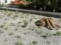 Stähli Gartengestaltung GmbH