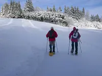 Funiculaire Saint-Imier-Mont-Soleil SA