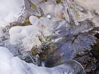 Cambrena