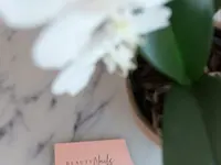 Beauty Nails di Manuela Meier