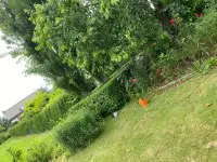Blattert Garten- und Rasenpflege GmbH
