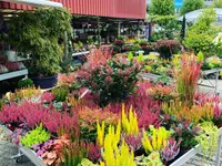 Garden Centre Meylan