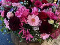 vivus Blumenboutique GmbH