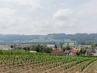 Weingut Klosterhof - Klicken Sie, um das Bild 8 in einer Lightbox vergrössert darzustellen