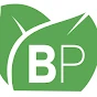 BP Bâtisseur de Passion SA-Logo