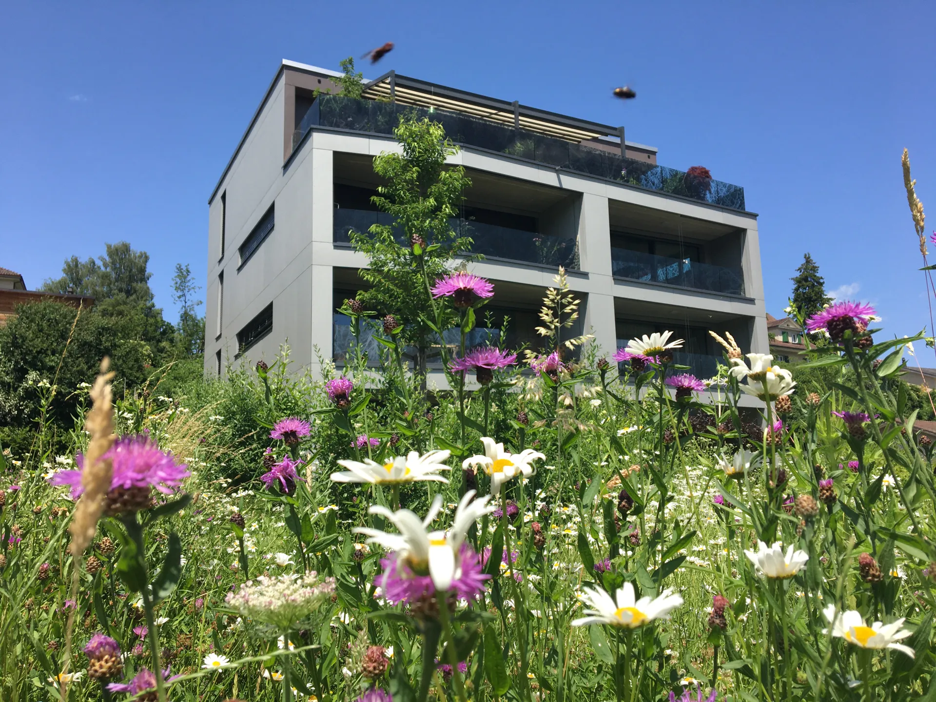 Leuenberger Gartenbau GmbH