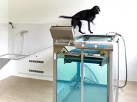 Marigin Tierklinik - Zentrum für Tiermedizin