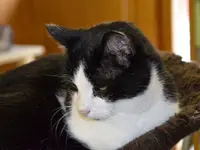 Tierferienheim Gredig
